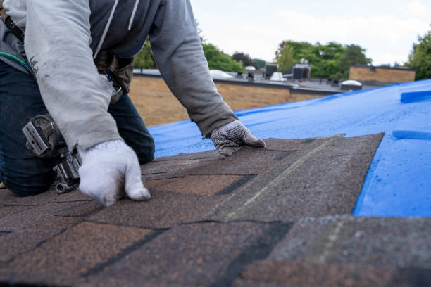 Best Shingle Roofing Installation  in Three Way, TN
