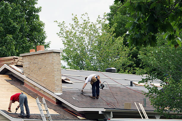 Best Roof Gutter Cleaning  in Three Way, TN