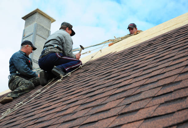 Best Emergency Roof Repair  in Three Way, TN