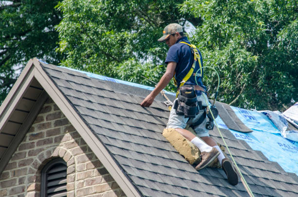 Professional Roofing Contractor in Three Way, TN